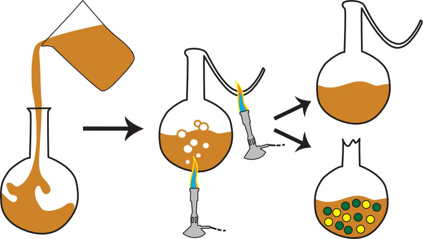 The swan neck flask experiment