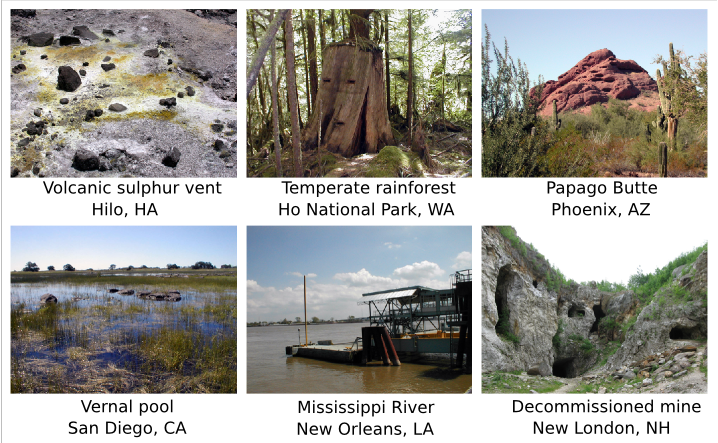 A sampling of the different types of environments where microbes flourish