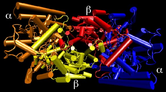 Nitrogenase structure