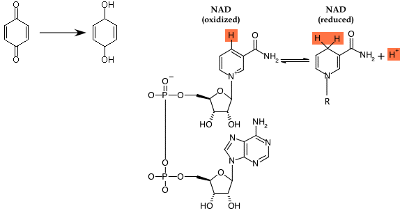 The structures of a few important electron and hydrogen carriers