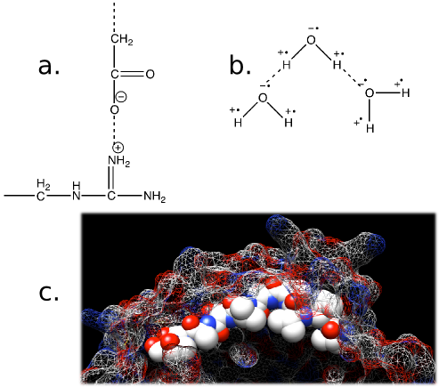 Forces that affect biological systems