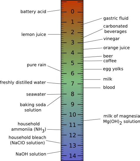 The pH scale and the pH of some common foods.