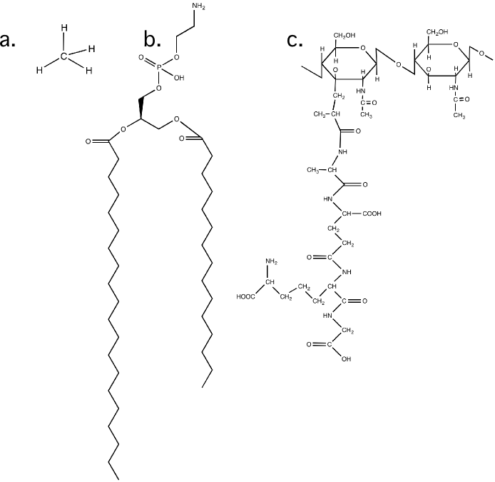 The arrangement of bonds in a carbon molecule