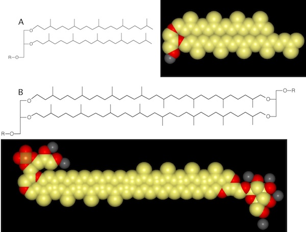 Ether-linked lipids